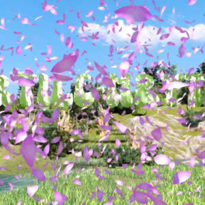 Video by fertile-myrtle published on January 12,2024 16:24:55 - BestThots