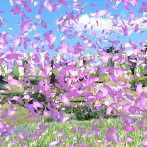 Video by fertile-myrtle published on January 12,2024 16:25:12 - BestThots