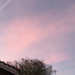 Video by xxxriley published on August 7,2023 09:39:00 - BestThots