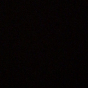 Video by xxxriley published on August 15,2023 23:43:00 - BestThots