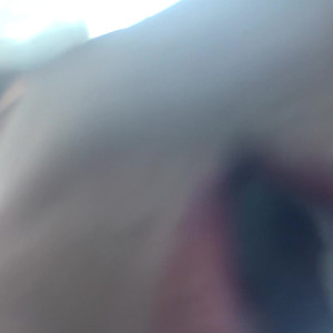 kittenwithfangsfree #4791200