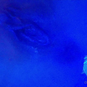 Video by azcateyes published on November 20,2023 04:18:49 - BestThots