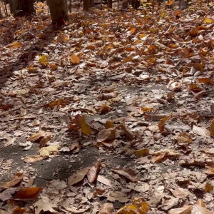Video by marleymathers published on November 20,2023 07:05:04 - BestThots