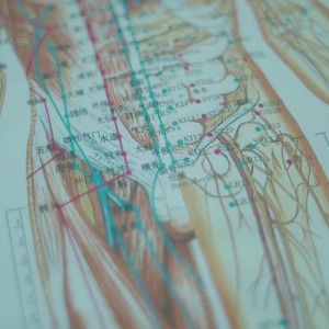 Video by ms_euryale published on November 20,2023 07:50:44 - BestThots