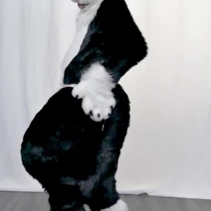 Video by yiffykitty published on April 9,2023 13:21:00 - BestThots