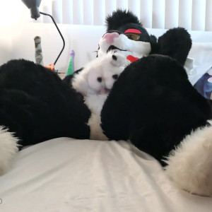 Video by yiffykitty published on April 25,2023 23:03:00 - BestThots