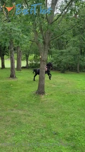 Video by unicorn_boots published on January 16,2025 12:00:54 - BestThots