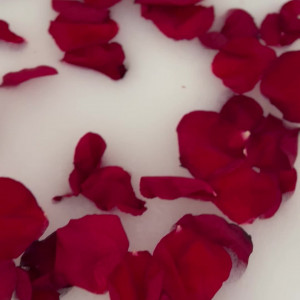 alyssia_kent #8442881