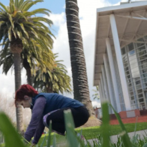 Video by andrearosu published on November 21,2023 13:36:43 - BestThots