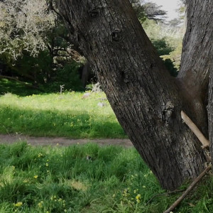 Video by andrearosu published on November 21,2023 13:36:35 - BestThots