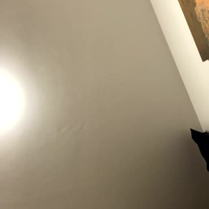 Video by blondiepaul published on May 23,2023 18:15:00 - BestThots