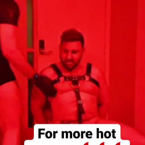 brazildaddybearfreepage #8752938