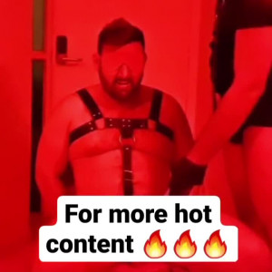 brazildaddybearfreepage #8752955