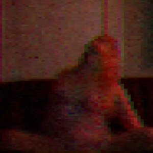 Video by alicelynn13 published on June 8,2023 20:30:00 - BestThots