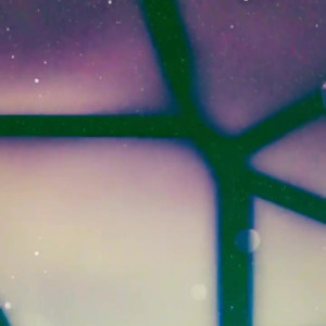 Video by alicelynn13 published on August 17,2023 12:15:00 - BestThots