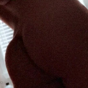 Video by alicelynn13 published on May 9,2023 05:40:00 - BestThots