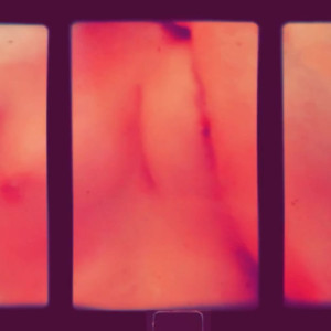 Video by alicelynn13 published on April 30,2023 10:24:00 - BestThots