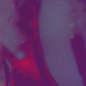 Video by alicelynn13 published on April 29,2023 12:43:00 - BestThots