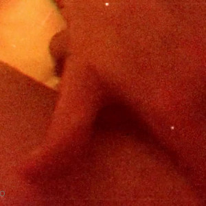 Video by alicelynn13 published on May 23,2023 18:57:00 - BestThots