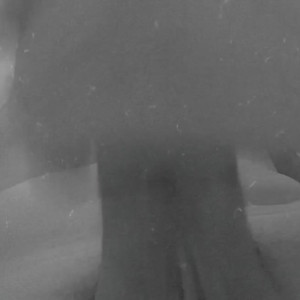 Video by alicelynn13 published on March 5,2023 07:31:00 - BestThots
