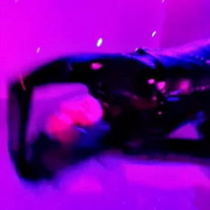 Video by alicelynn13 published on May 3,2023 19:21:00 - BestThots
