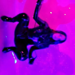 Video by alicelynn13 published on August 4,2023 22:11:00 - BestThots