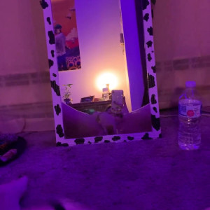 Video by dabofhalo published on June 28,2023 11:00:00 - BestThots