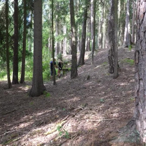 alexiscrystal #5756288