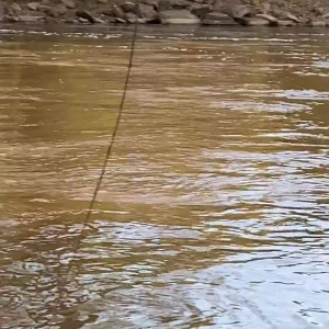 Video by elliefrancisbean published on January 12,2024 09:44:10 - BestThots