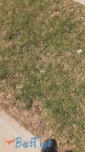Video by goddesskates published on January 16,2025 08:01:18 - BestThots