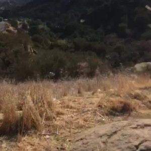 Video by theonlykiaramia published on July 26,2023 02:18:00 - BestThots