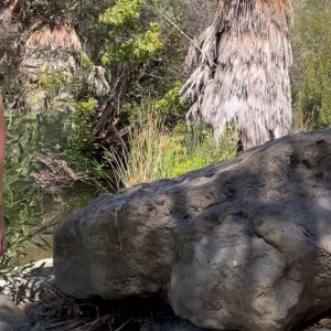 Video by highlyfashioned published on April 16,2023 16:22:00 - BestThots