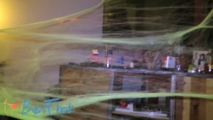 Video by moneybirdettefree published on January 16,2025 03:01:55 - BestThots