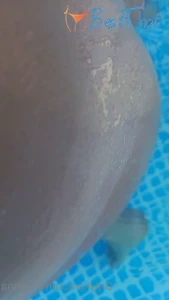 miauna #9693416