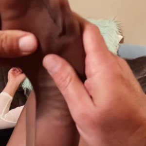 Video by nylonskitten published on August 16,2023 19:32:39 - BestThots