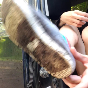 Video by hippiefeet23 published on August 16,2023 18:05:25 - BestThots