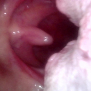 Video by hippiefeet23 published on August 17,2023 20:45:12 - BestThots