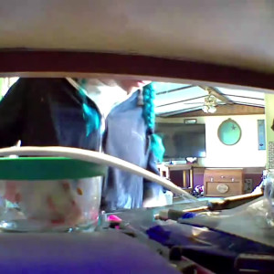 Video by hippiefeet23 published on August 16,2023 19:40:03 - BestThots