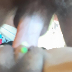 Video by hippiefeet23 published on August 16,2023 18:08:21 - BestThots