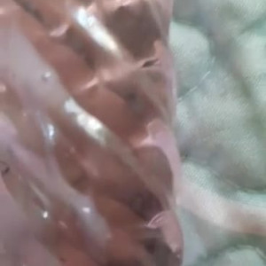 Video by hippiefeet23 published on August 16,2023 18:22:42 - BestThots