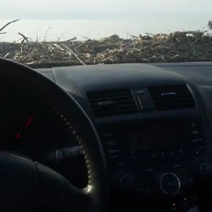 Video by hippiefeet23 published on August 16,2023 20:05:09 - BestThots