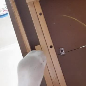 Video by hippiefeet23 published on August 17,2023 21:04:24 - BestThots