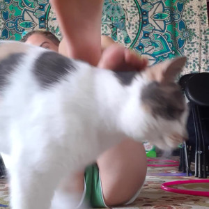 Video by hippiefeet23 published on August 16,2023 19:53:03 - BestThots