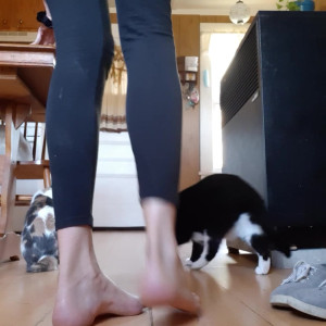 Video by hippiefeet23 published on August 16,2023 18:18:53 - BestThots