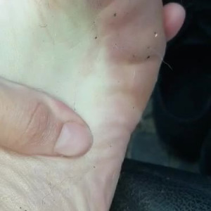 Video by hippiefeet23 published on August 16,2023 20:05:58 - BestThots