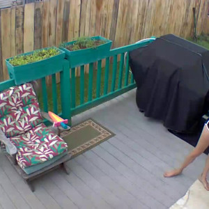 Video by hippiefeet23 published on August 16,2023 18:19:31 - BestThots