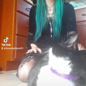 Video by hippiefeet23 published on August 16,2023 18:31:01 - BestThots