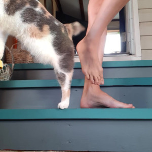 Video by hippiefeet23 published on August 16,2023 20:10:21 - BestThots