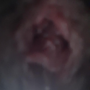 Video by hippiefeet23 published on August 16,2023 21:28:44 - BestThots