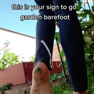 Video by hippiefeet23 published on August 16,2023 20:13:08 - BestThots